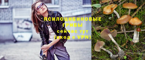 сатива Янаул