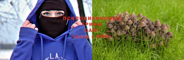 дживик Кодинск