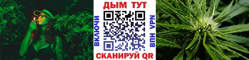 МЕГА ссылка  Королёв  Шишки марихуана гибрид  где можно купить наркотик 